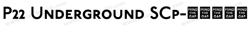 P22 Underground SCp字体转换